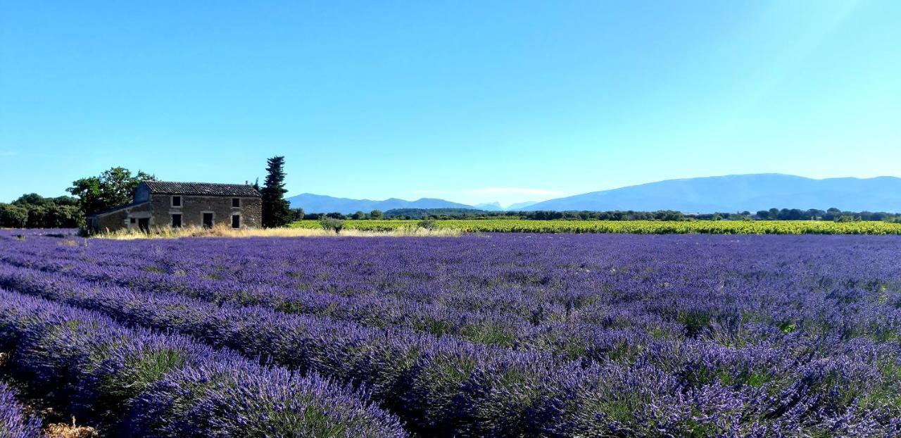 L'Instant Provence Βίλα Valréas Εξωτερικό φωτογραφία