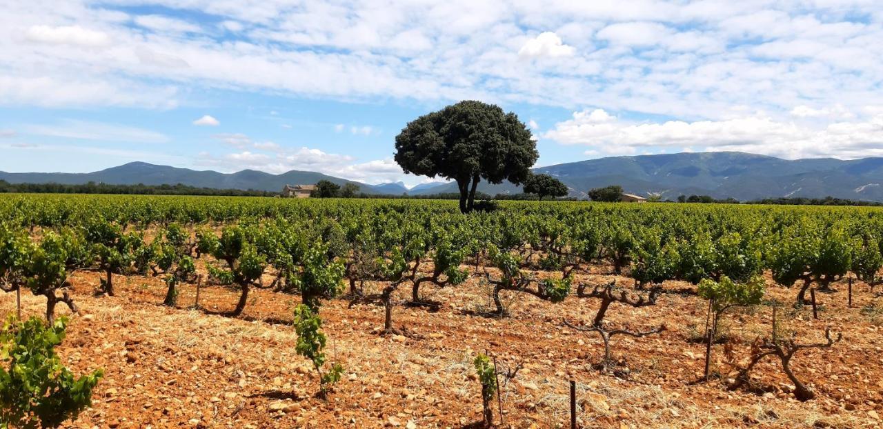 L'Instant Provence Βίλα Valréas Εξωτερικό φωτογραφία